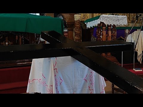the true goa news is live way of