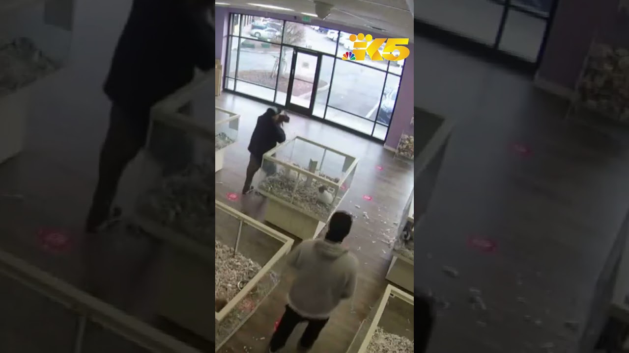 thieves caught on camera stealin