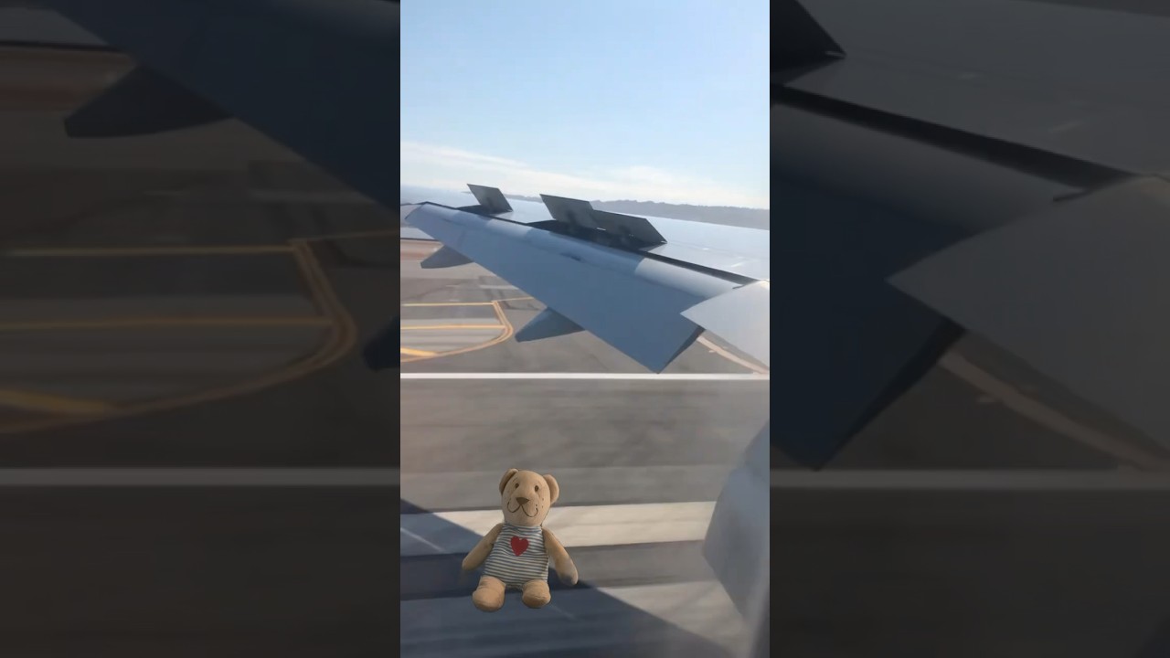 touch down at san francisco airp