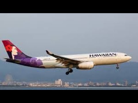 (4K) Hawaii airline A330-300 landing in San Francisco International Airport @ Mar 4,2024. 2 4k hawaii airline a330 300 landi