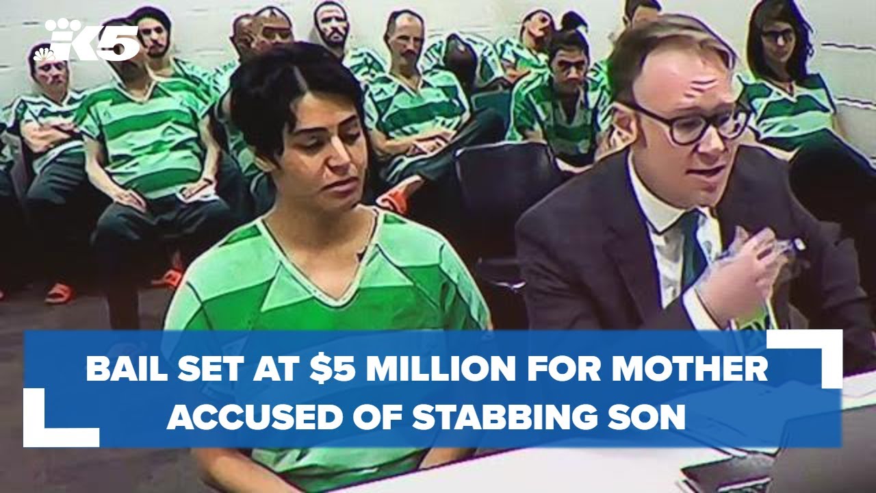 Bail set at $5 million for mother accused of stabbing 4-year-old more than a dozen times 2 bail set at 5 million for mother