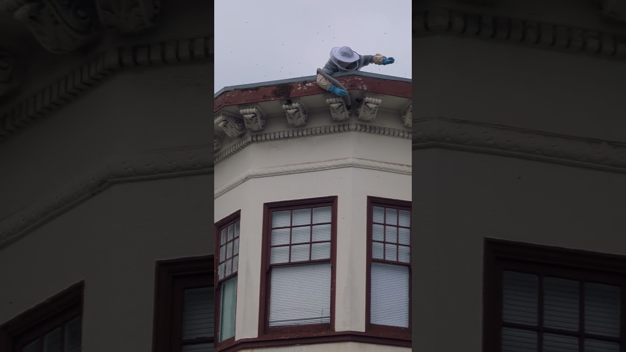 beehive found above san francisc