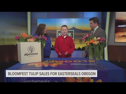 Easterseals Oregon's Bloomfest kicks off with tulip sales raising money for children and adult progr 2 easterseals oregons bloomfest ki