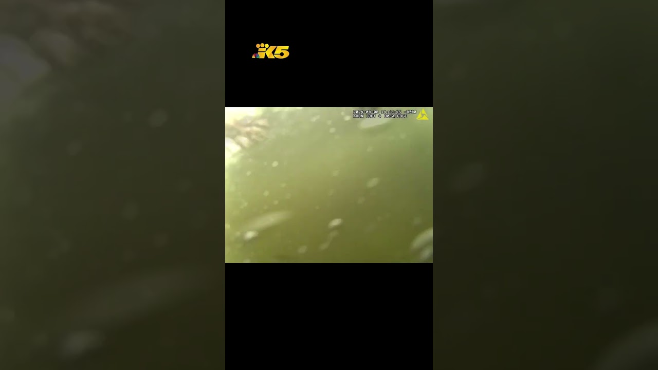 female teenager saved from drown