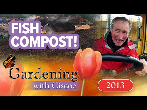 fish compost ciscoe goes wild ag