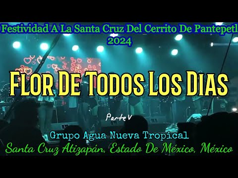 FLOR DE TODOS LOS DIAS - Grupo Agua Negra Tropical - Santa Cruz Atizapán - México - 2024 2 flor de todos los dias grupo agu