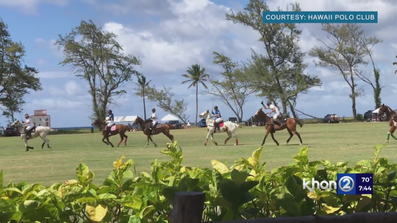 Hawaii Polo Club season kicks off with exciting lineup and special events 1 hawaii polo club season kicks of