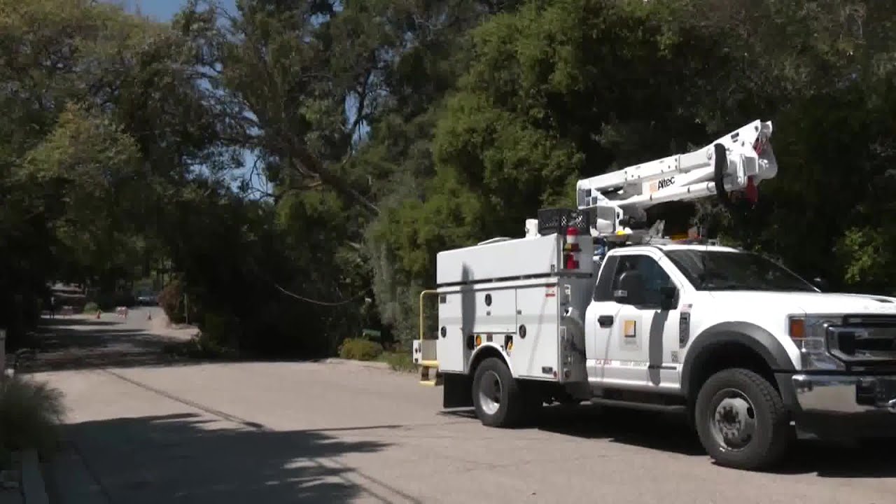 Large eucalyptus tree knocks out power in the 1100 block of N. Patterson Avenue Monday 2 large eucalyptus tree knocks out