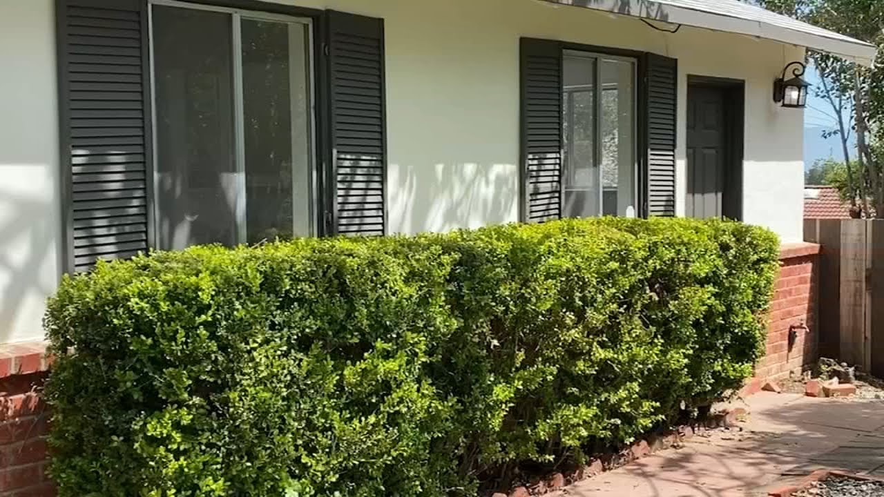 looking to buy a home in bay are