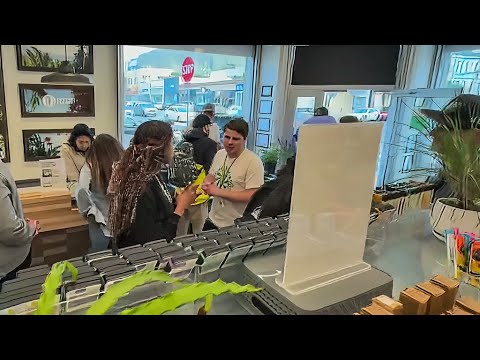 Marijuana devotees celebrate S.F. Weed Week at local dispensaries 2 marijuana devotees celebrate s f