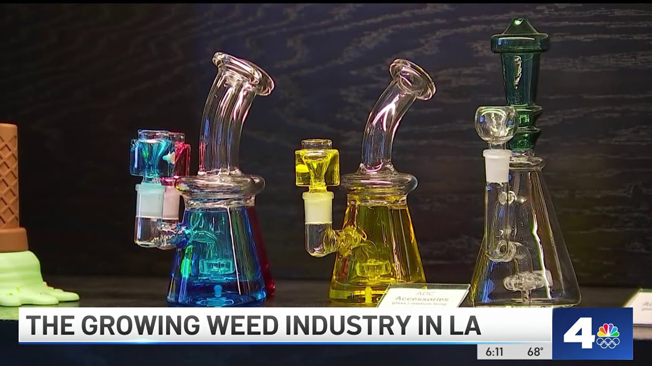 marijuana enthusiasts celebrate