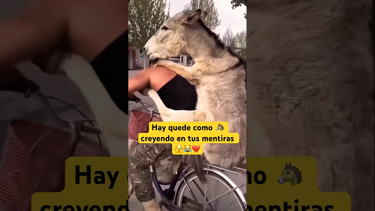 đč#mexico #california #losangeles #recuerdos #gilbertona #culiacĂĄn #sinaloa #viral #news #funny #fyp 1 mexico california losangeles rec