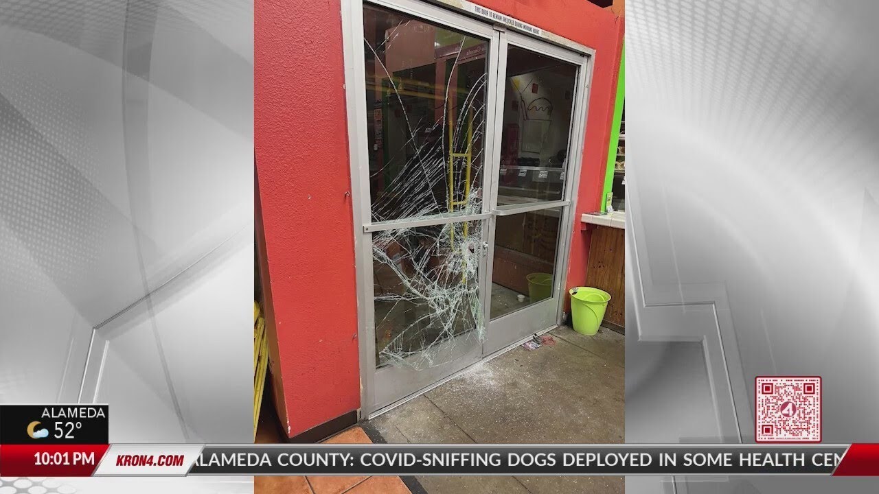 multiple businesses burglarized
