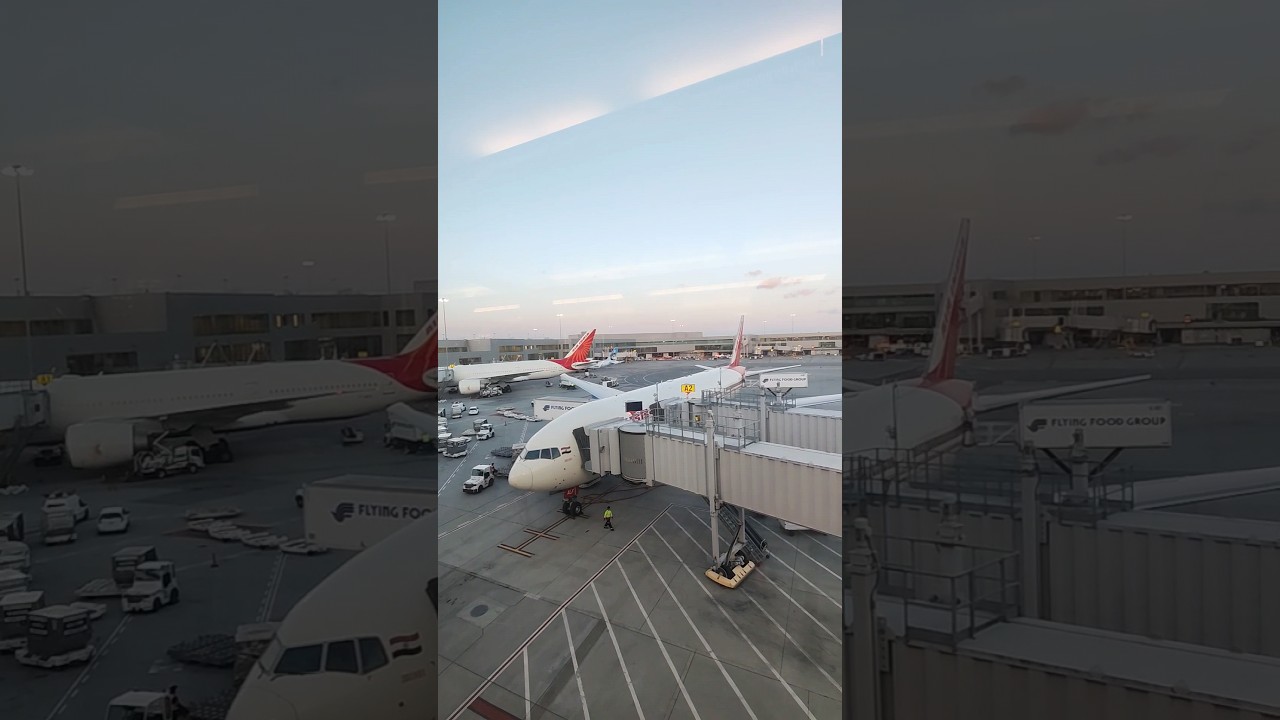 san francisco airport shortsvide