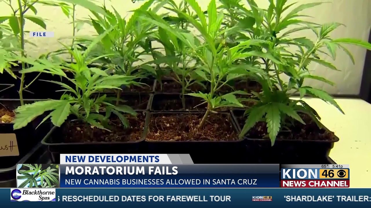 santa cruz city council drops pr