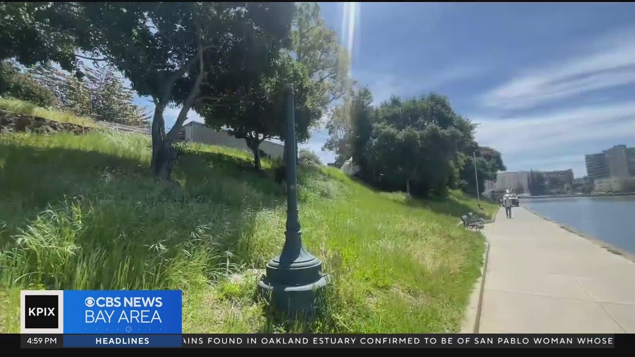 street light thefts near oakland