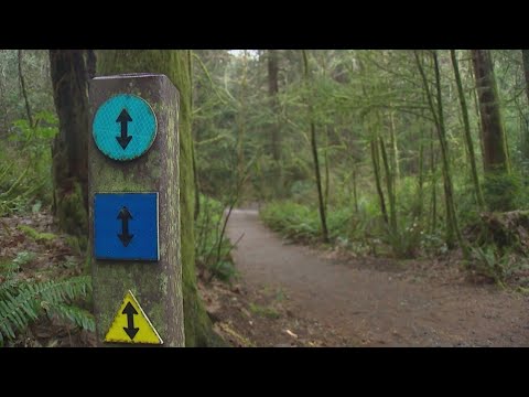 suspect in point defiance park s
