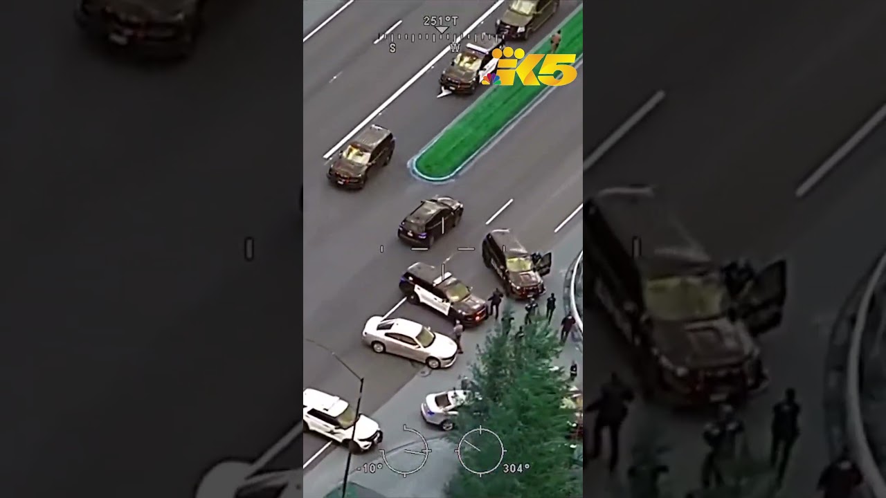 suspect in stolen car leads poli 1