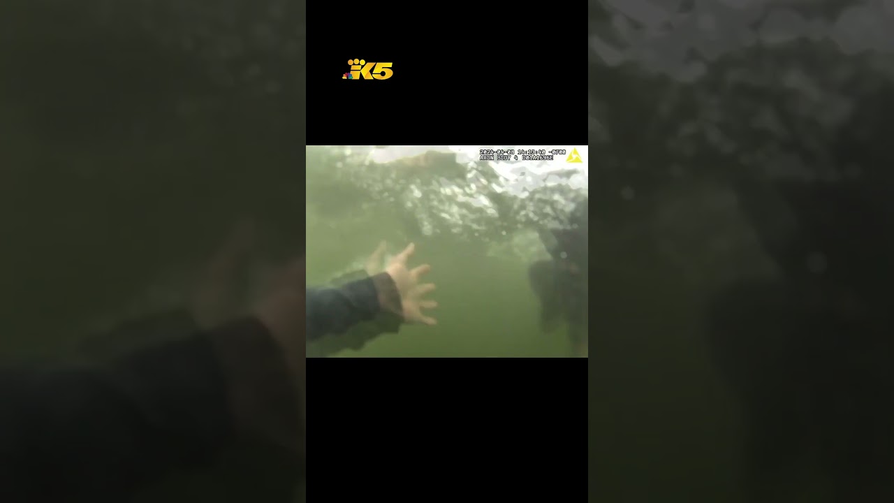 Teenage female saved from drowning by Tacoma police officers #shorts 2 teenage female saved from drowni