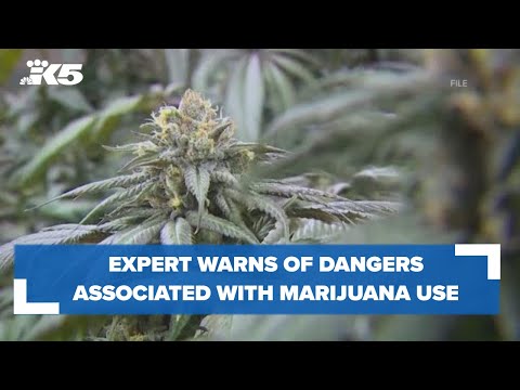 the high cost of 4 20 expert war