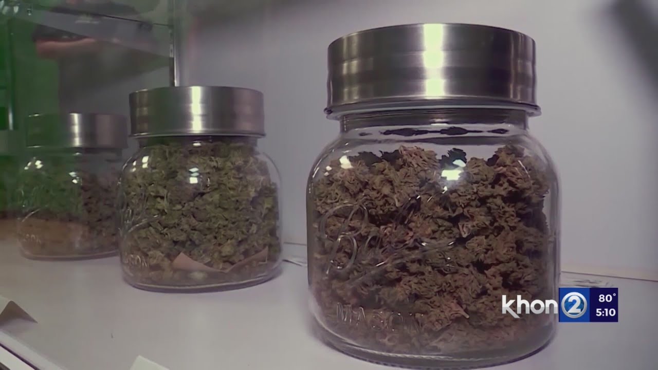 ‘Unregulated & untested’ lawmakers reject attempt to decriminalize recreational marijuana 1 unregulated untested lawmakers r