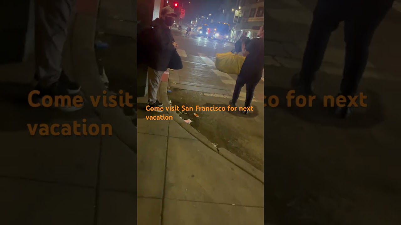visit san francisco for vacation