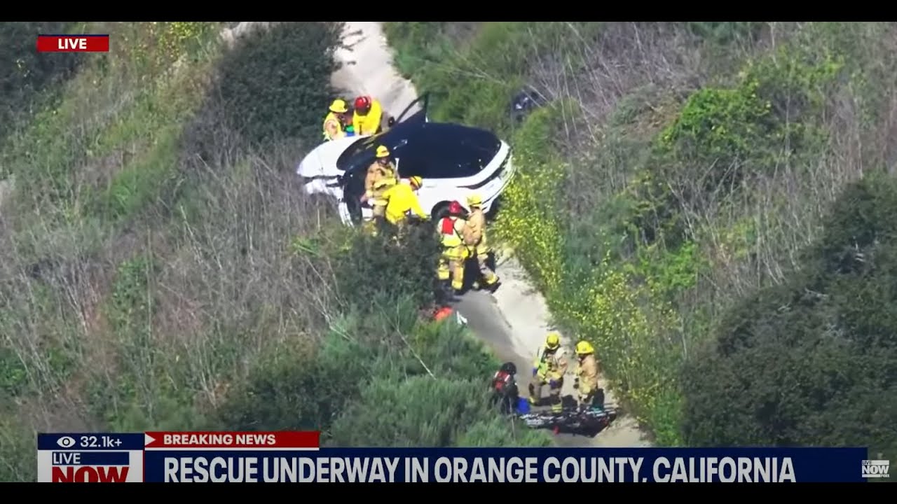 watch live rescue in los angeles