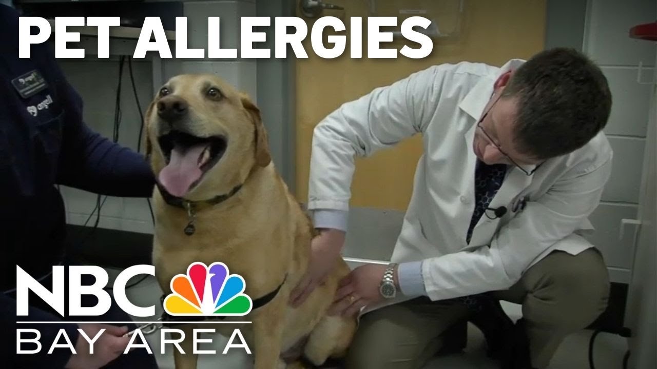 watch what spring allergy sympto