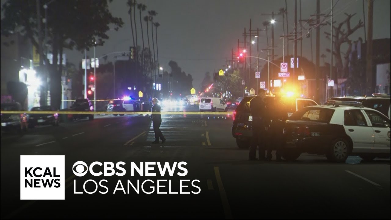 14-year-old girl charged for fatal shooting in South Los Angeles 2 14 year old girl charged for fat