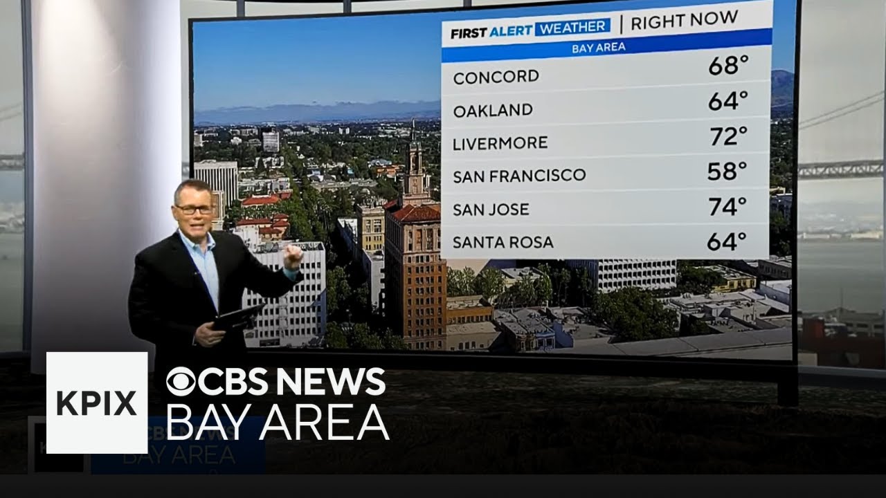 consistent weather for the bay a
