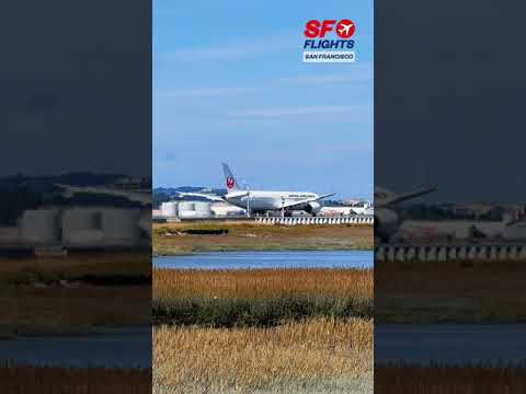🇯🇵 Japan Airlines | San Francisco Airport ✈️ #spotting 2 japan airlines san francisco ai