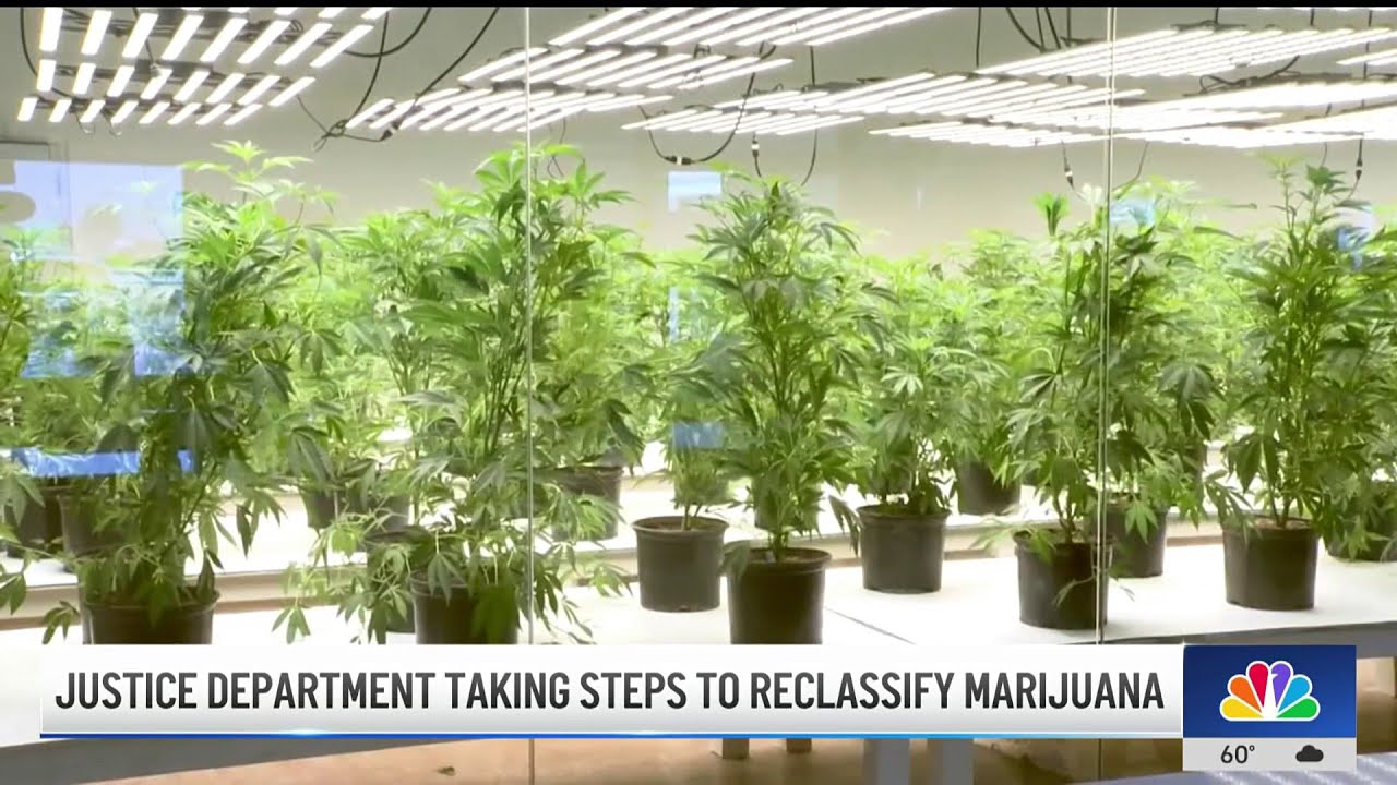 Justice Department takes steps to reclassify marijuana 2 justice department takes steps t