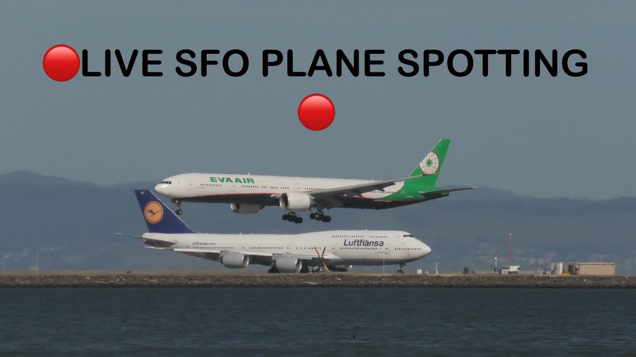 đ´LIVE SFO Plane Spotting : Arrivals and Departures San Francisco Intl Airport#livestream #live #fyp 2 live sfo plane spotting arrivals