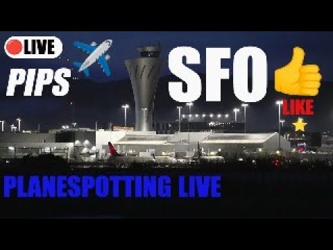 sfo plane spotting live bingo ed