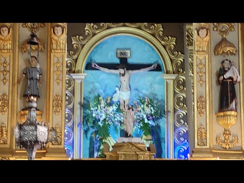 THE TRUE GOA NEWS is live Holy Cross feast at Santa Cruz Church Goa 5 May 2024 2 the true goa news is live holy c