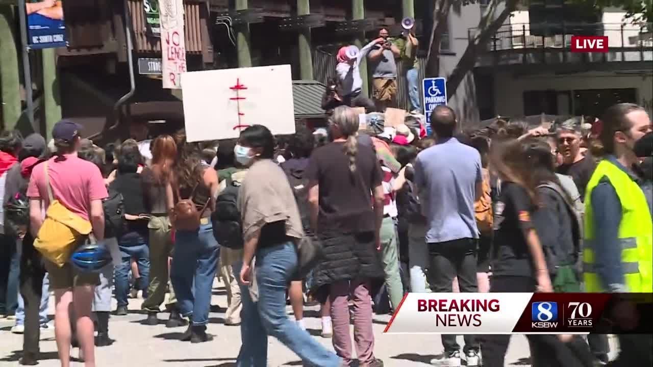 ucsc students protest on campus