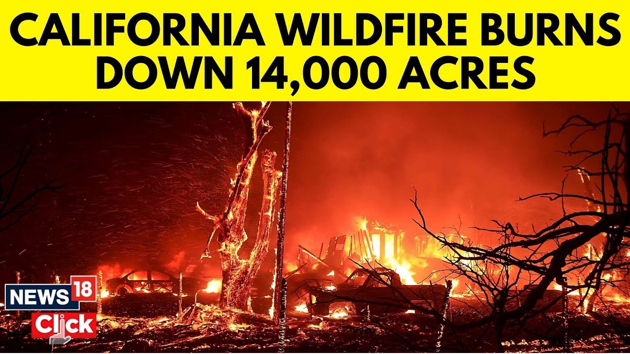California Firefighters Battle Wind-Driven Wildfire East Of San Francisco | US News | G18V | News18 2 california firefighters battle w 1