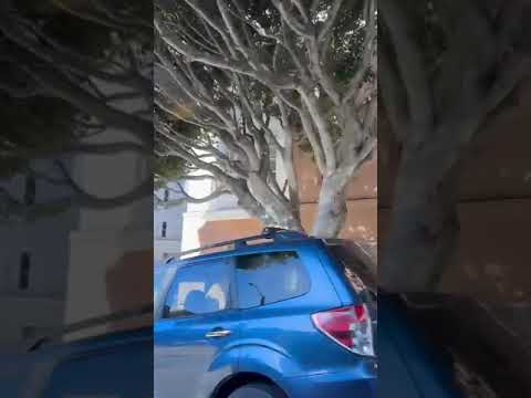 streets of san francisco on a wa
