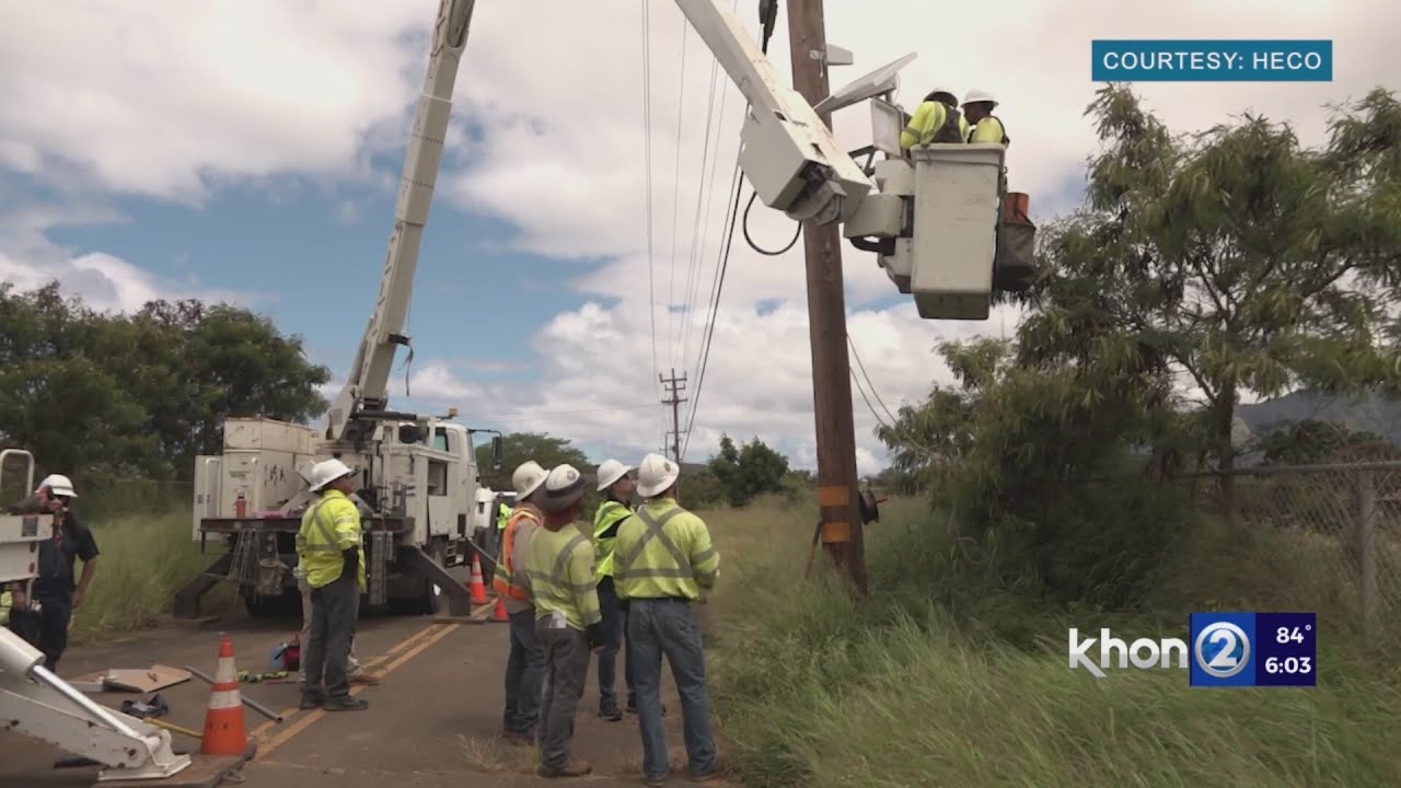 hawaiian electric program to cut