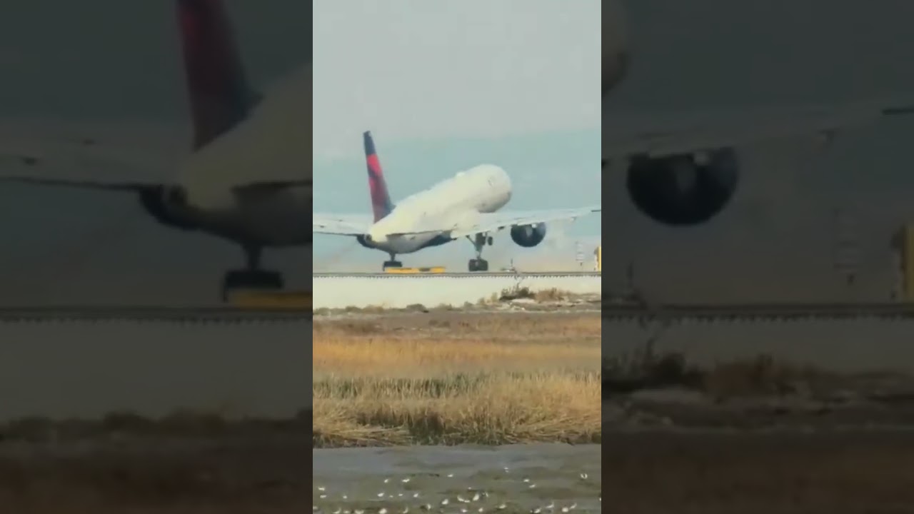 delta air lines san francisco i