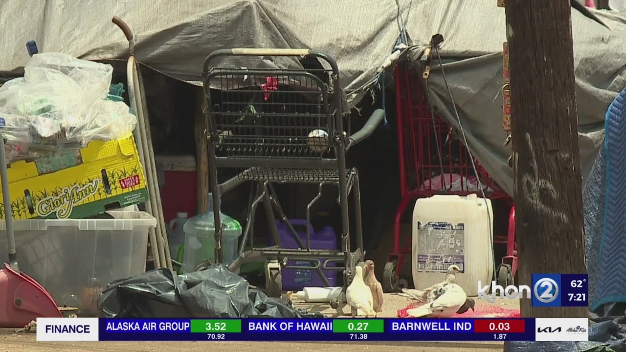 honolulu looking for new homeles