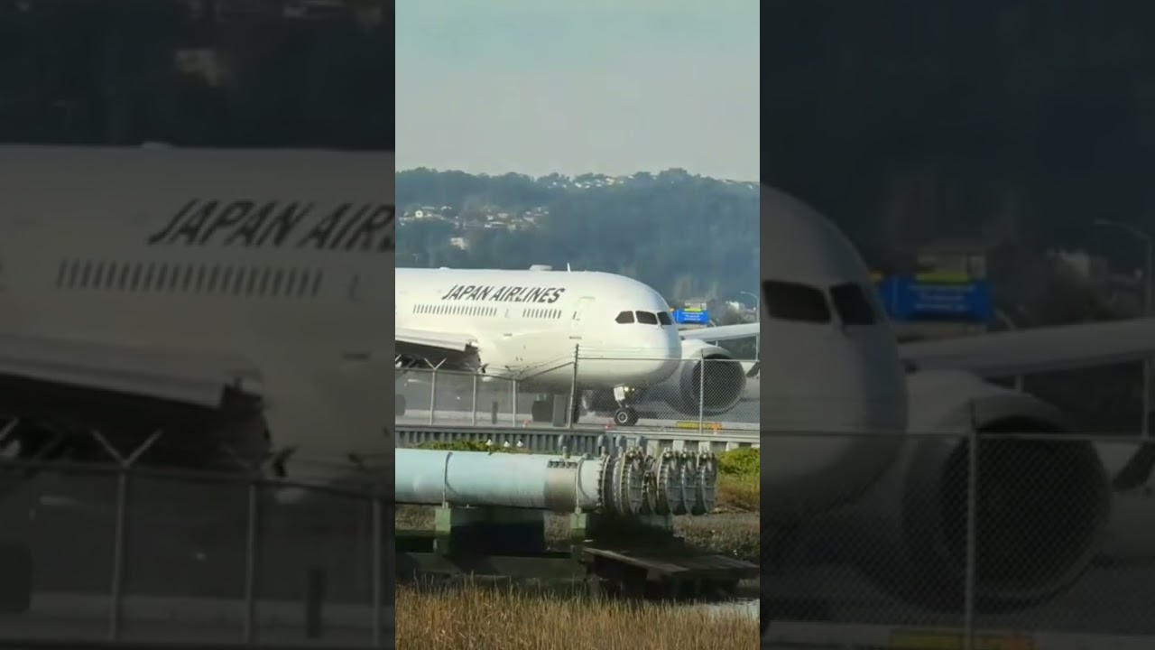 đŻđ” Japan Airlines | San Francisco International Airport #aviation #Dreamliner #boeing787 2 japan airlines san francisco in