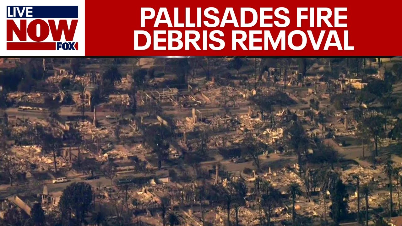 live palisades fire debris remov
