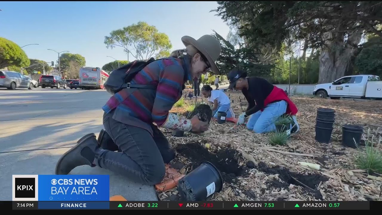 San Francisco residents volunteering for programs to beautify neighborhoods 2 san francisco residents voluntee