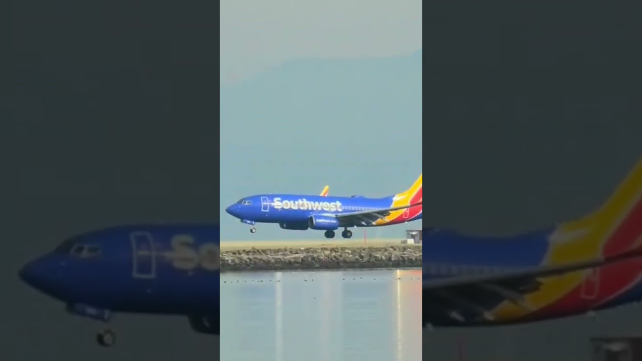 đșđž Southwest Airlines | San Francisco International Airport #aviation #airport #airplane 2 southwest airlines san francisc