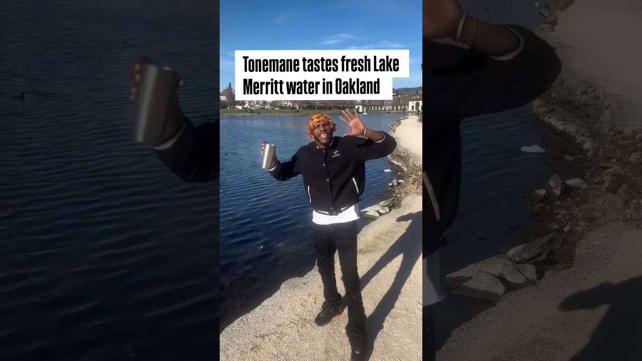 tonemane tastes fresh lake merri