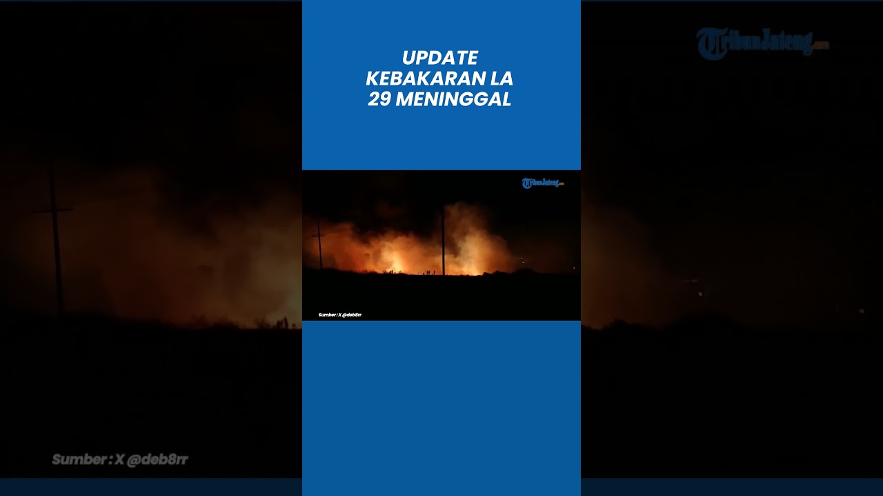 update kebakaran los angeles 29
