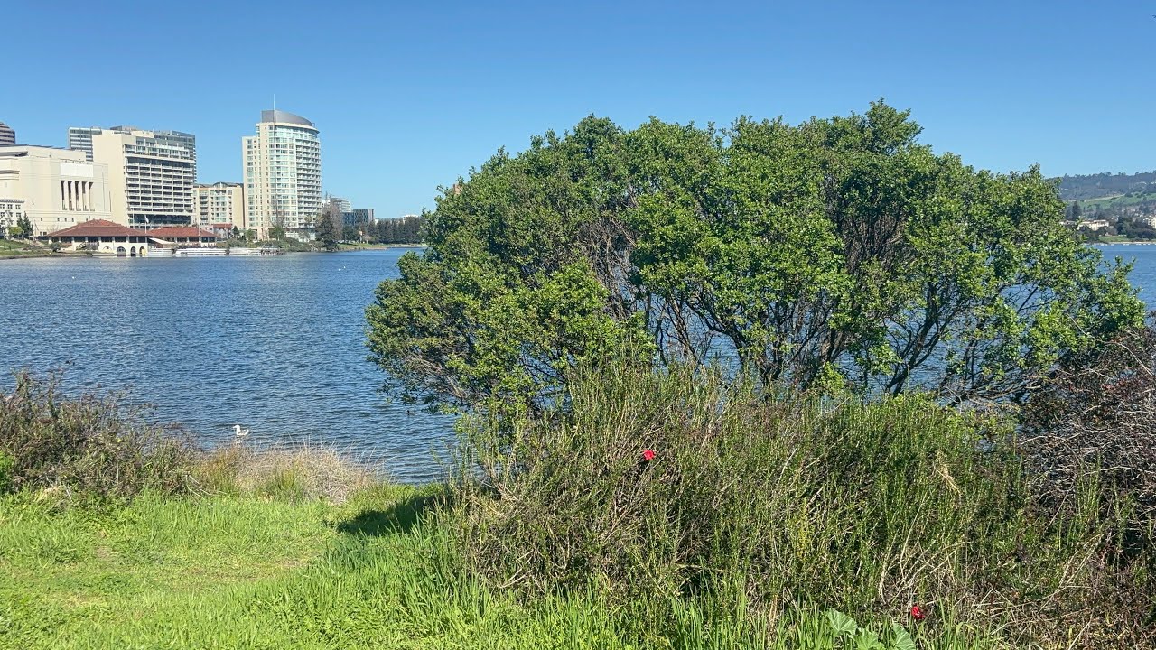 LAKE MERRITT OAKLAND CALIFORNIA #lakemerritt #mostbeautiful #oakland 2 lake merritt oakland california 1