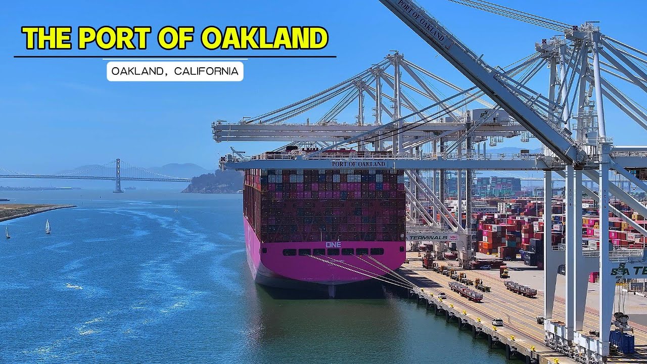 Port Of Oakland Drone Footage (Short Tour) #portofoakland #containershipping #containership 1 port of oakland drone footage sh