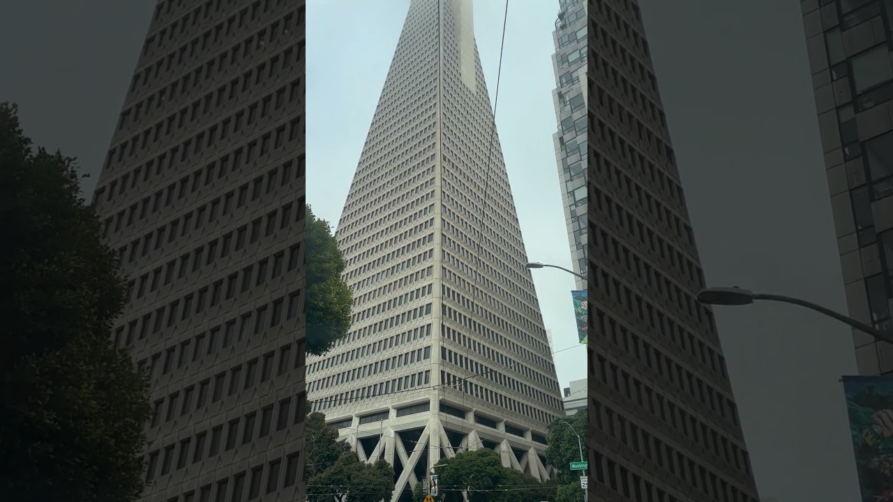 San Francisco#city 2 san franciscocity 1